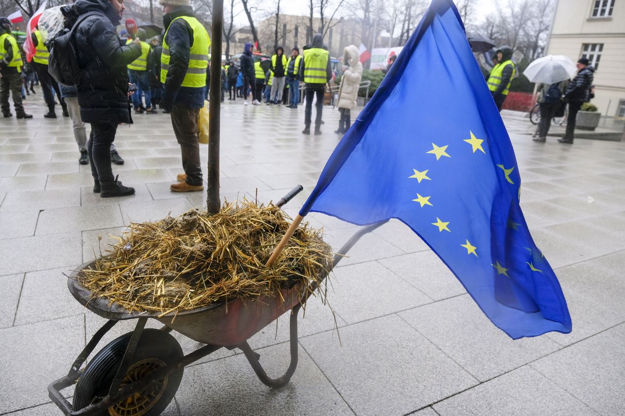 Polscy rolnicy protestują przeciw polityce Brukseli 