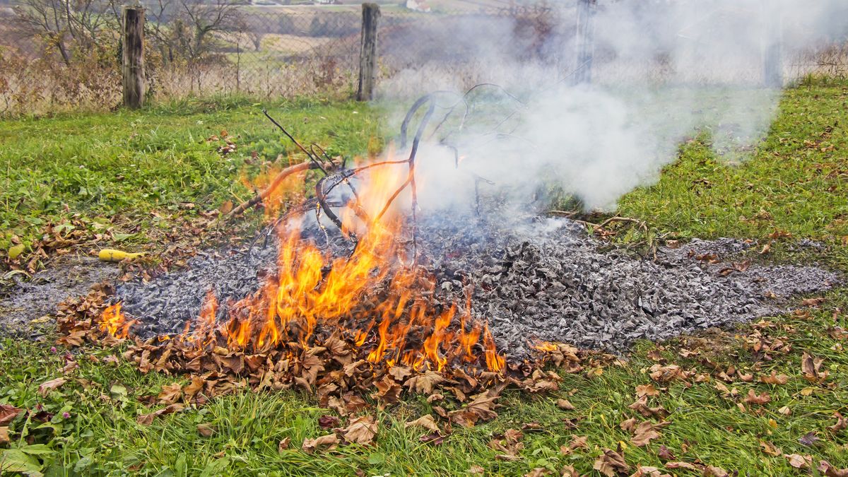 Czy w ogrodzie można palić ognisko?