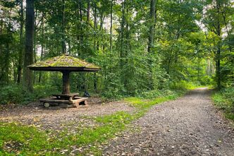 Sejm zmienia przepisy o lasach. Suwerenna Polska dopięła swego