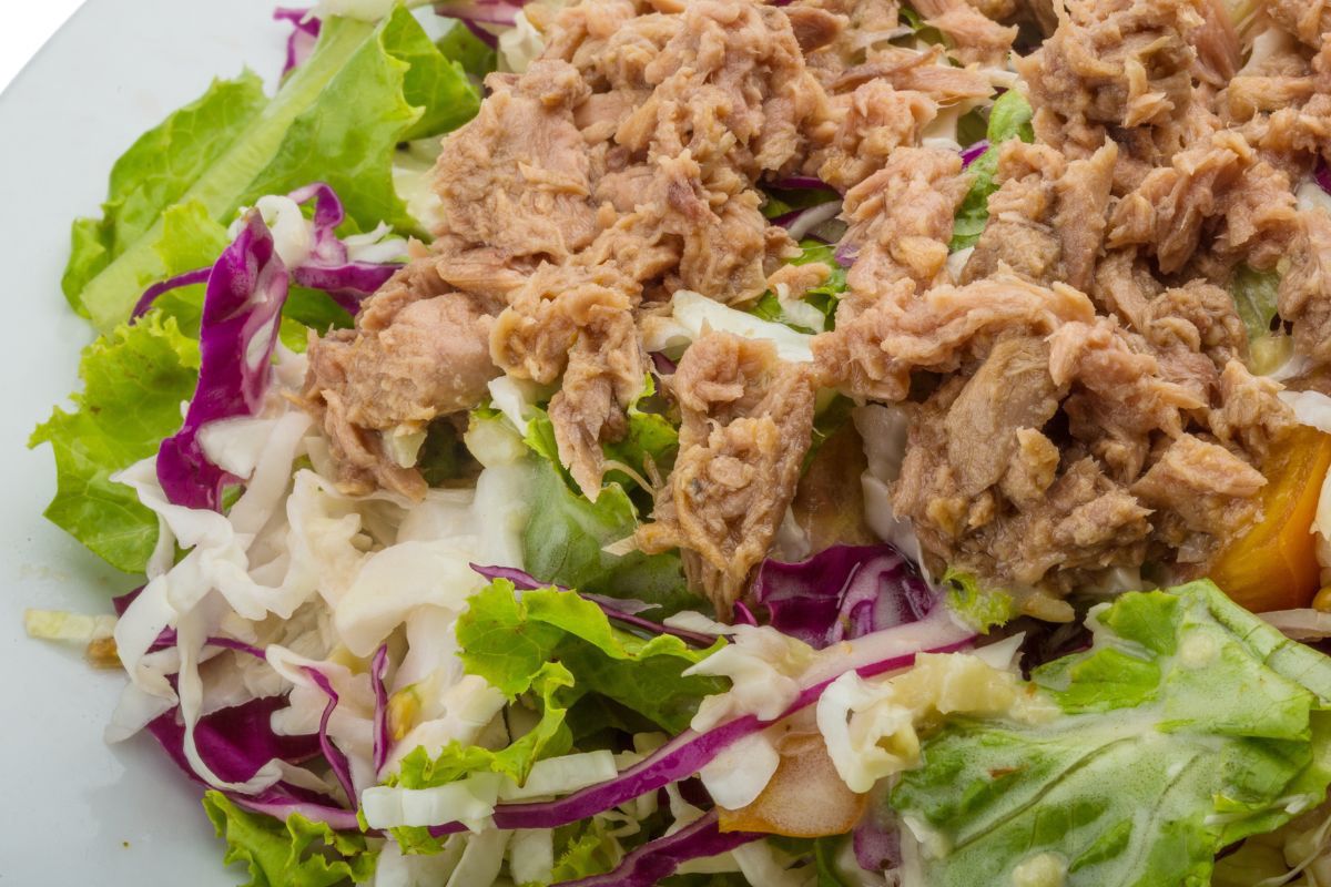 Tuna Salad - Delicacies