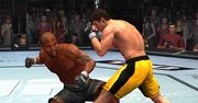 THQ zapowiedziało UFC Undisputed 2010