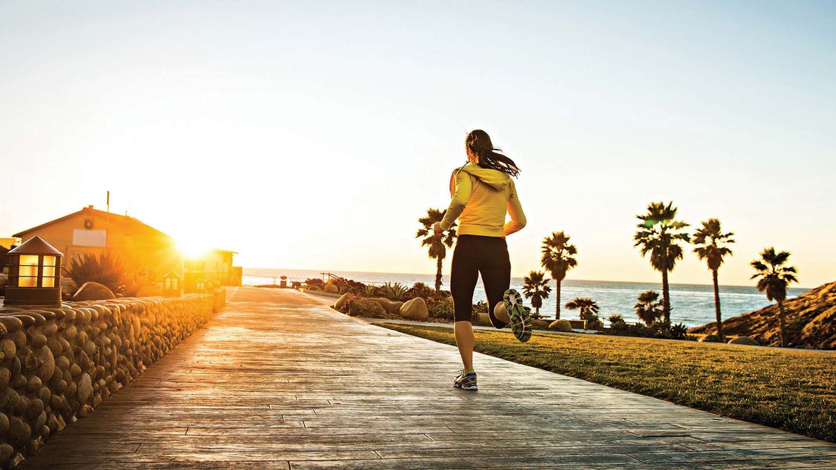 VerveLife to nowa marka sygnowana logo Motoroli. Znajdziesz je na słuchawkach, sportowej kamerce i... obroży dla psa 1