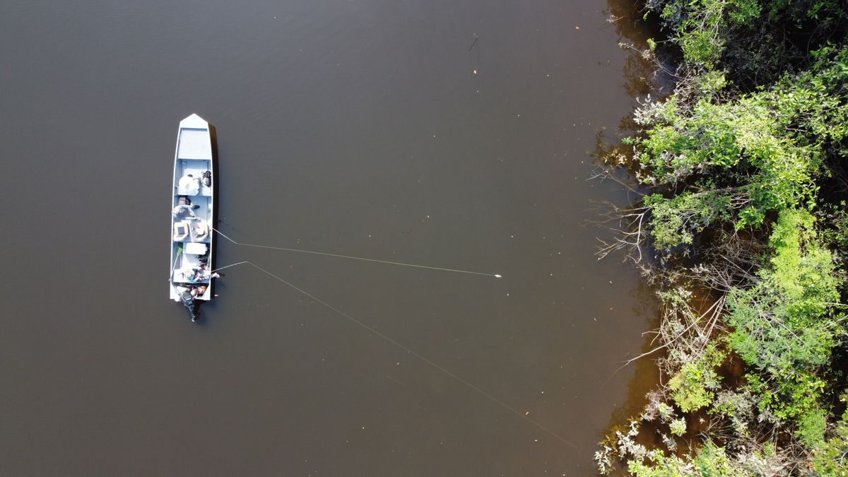 W jeziorze Tefé zanotowano wzrost temperatury wody do 41 st. C