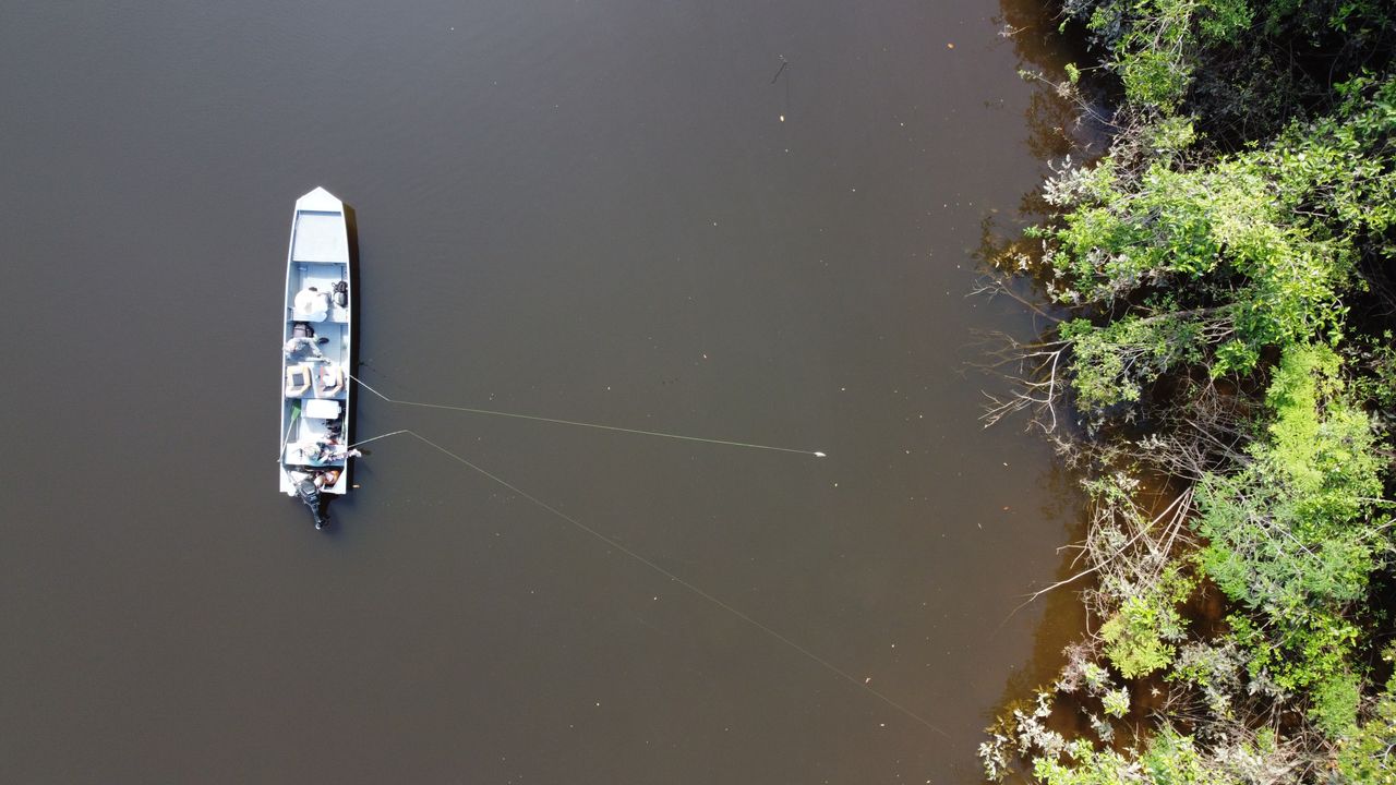 Niepokojące zjawisko w jeziorach Amazonii. Naukowcy alarmują