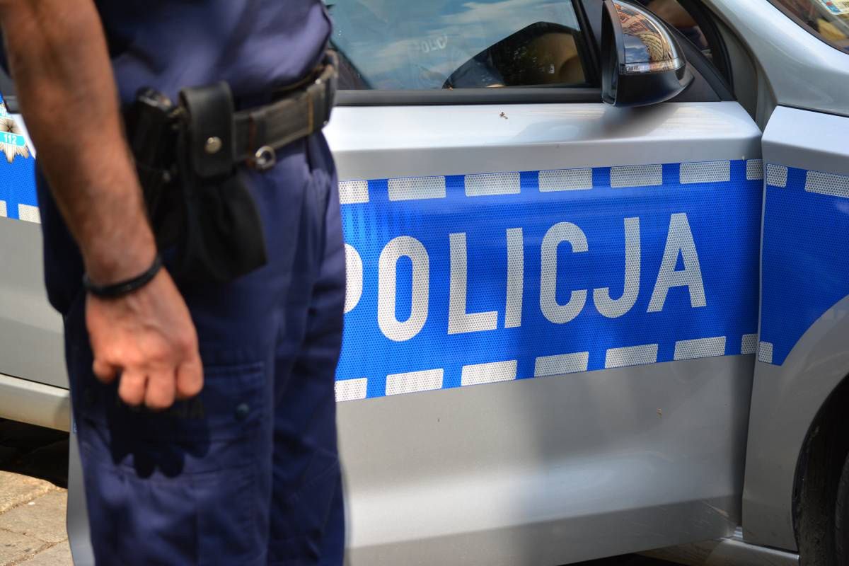 Koszalin: Wylano płyn do odstraszania dzików w szkole tańca