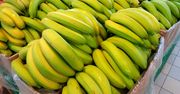 Nie odrzucaj w sklepie takich bananów. Większość Polaków unika, a dla jelit to prawdziwy skarb