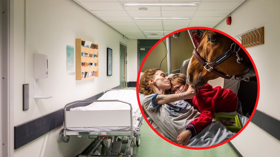 Zwierzę chętnie przychodzi do szpitala