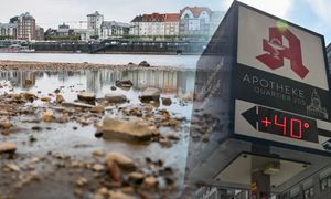 Rekordowe lato w Niemczech. Takich upałów jeszcze nie było