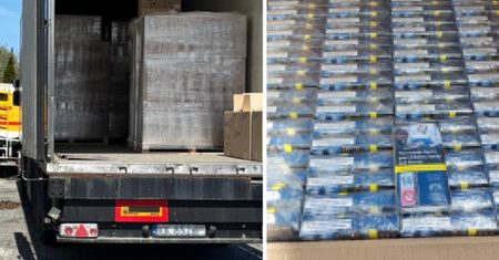 11,5 mln sztuk nielegalnych papierosów w rękach służb. Ogromne straty