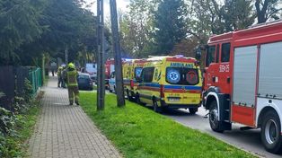 Puławy: Trzy osoby i dwa psy nie żyją po zatruciu czadem