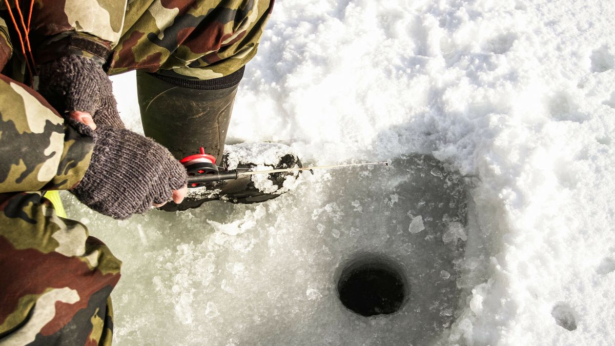 Dokument jest dostępny wyłącznie elektronicznie