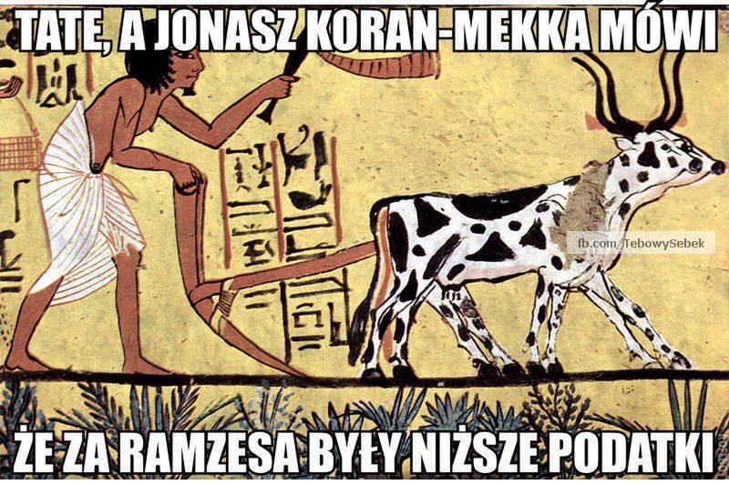 „Krul” polskiego Internetu – zobacz najśmieszniejsze obrazki i filmiki z Januszem Korwin-Mikkem 18