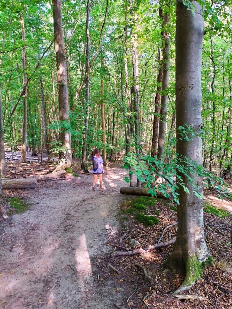  Park Jasmund - Rugia