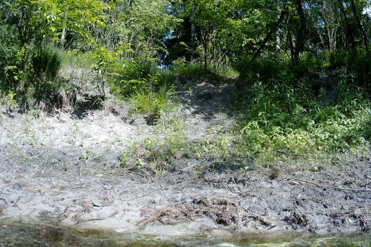 Nic tu nie ma? Dobrze się przypatrz. Tylko mistrz go dostrzeże