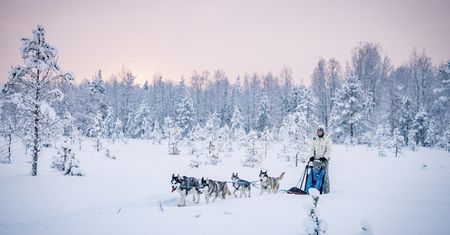 Tak zimo w Laponii dawno nie było. Temperatura spadła do -40 st. C