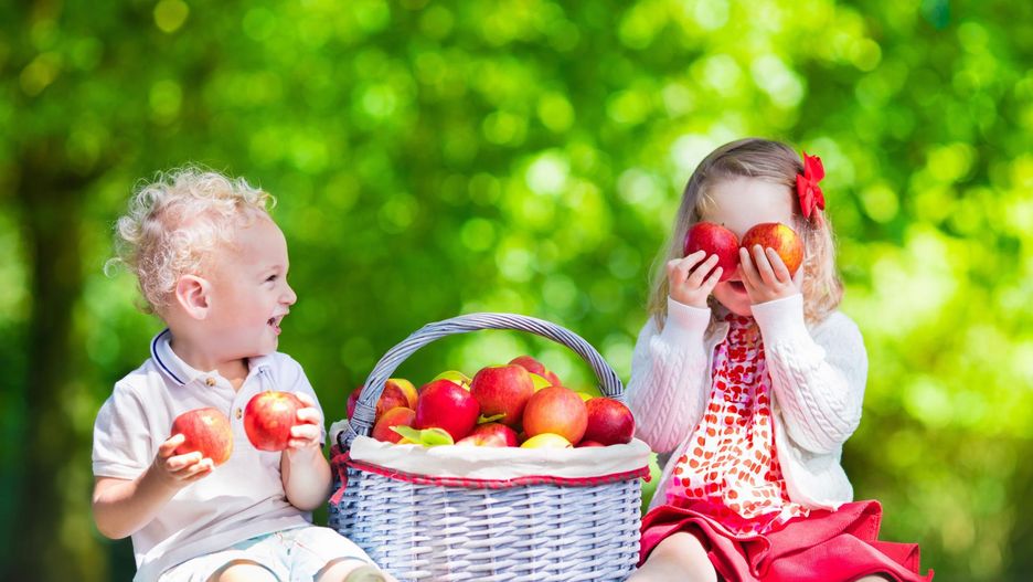 Sfermentowane jabłka w cynamonie – idealna przekąska dla najmłodszych