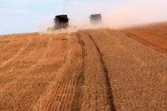 Ceny rolnicze w praktyce. Od czego zależy ich wysokość?