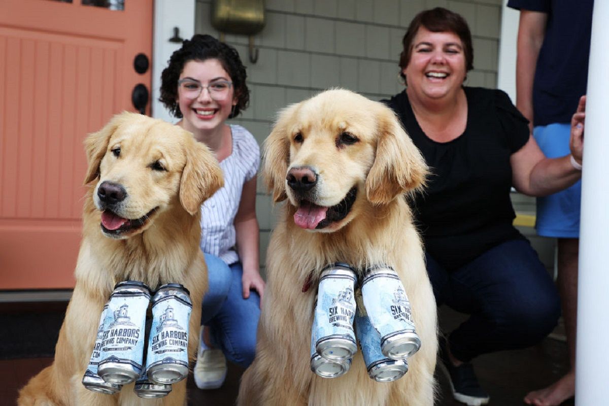 Psy pomagają właścicielom dostarczać piwo w trakcie epidemii koronawirusa. 