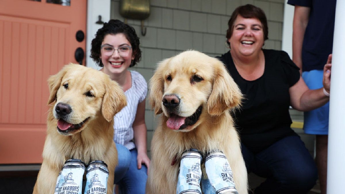 Psy pomagają właścicielom dostarczać piwo w trakcie epidemii koronawirusa. 