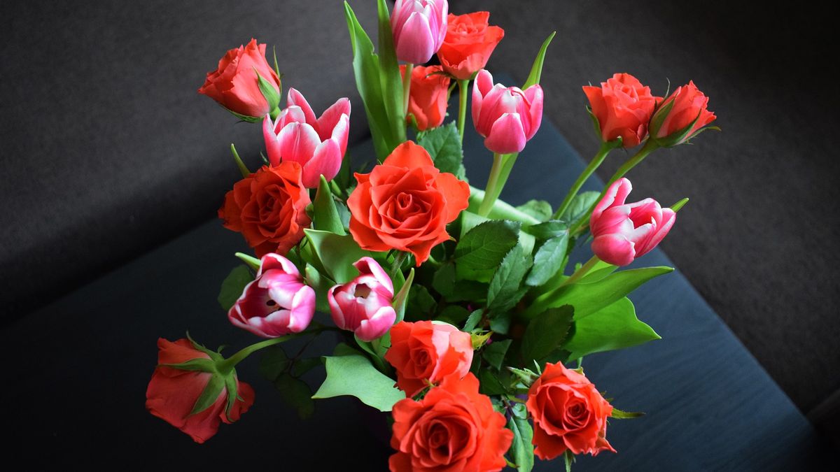 15 maja są imieniny Zofii