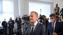 Tusk liderem sondażu. Komentarz z Lewicy