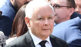 Czarny scenariusz. Oto, co zrobi PiS po wygranych wyborach