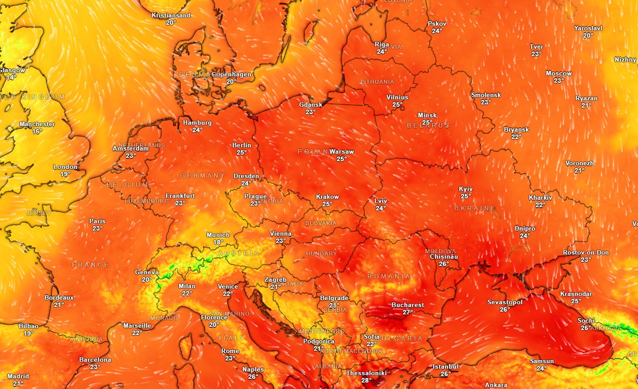 Mapa upałów. Sprawdź, gdzie jest najcieplej