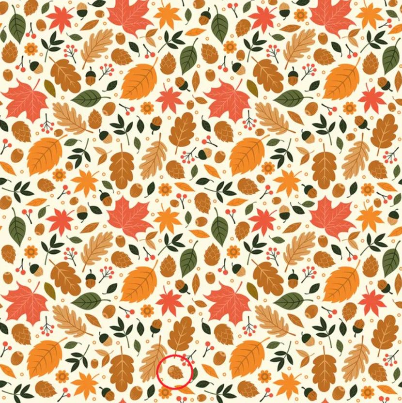 Zagadka na spostrzegawczość z jeżem: rozwiązanie