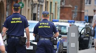 Poznań: Niemal 1800 zgłoszeń od mieszkańców w ciągu tygodnia. Co było najczęstszym powodem?