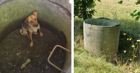 Złapali go i wrzucili do studni. Na koniec zasunęli betonowy właz