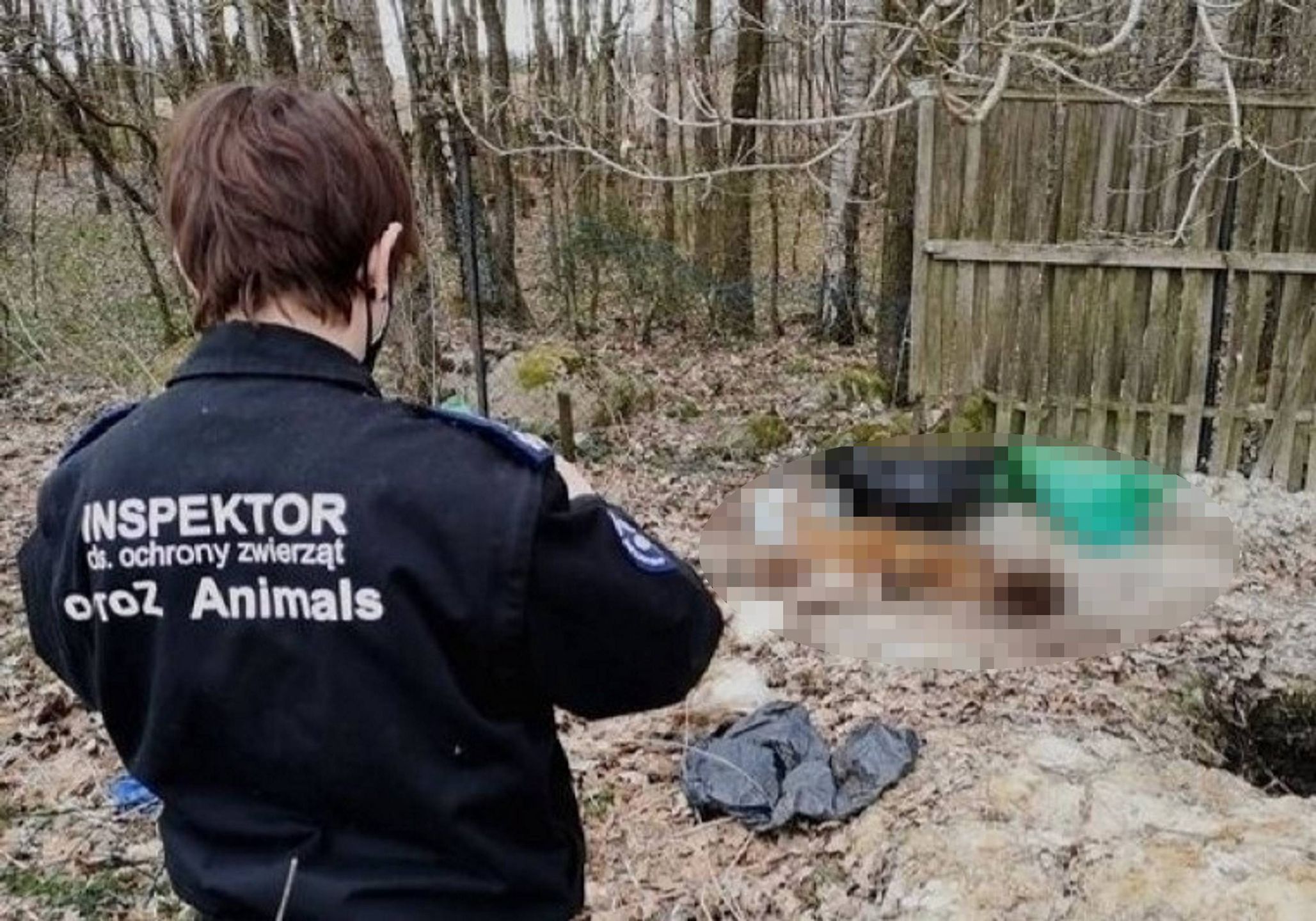 OTOZ Animals przeprowadziły interwencję hodowli na terenie gminy Kartuzy. 