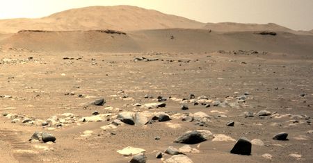 Życie na Marsie? Naukowiec uważa, że to sprawka NASA