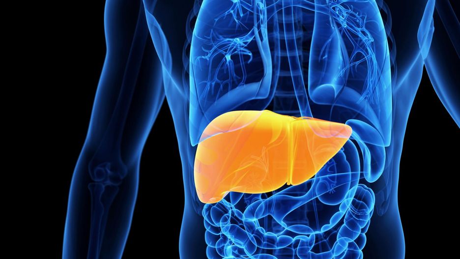 Głowa meduzy to objaw marskości wątroby