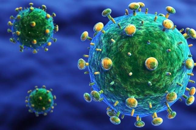 10 najważniejszych odkryć i wydarzeń naukowych lat 90. GMO, klonowanie i terapia HIV 7