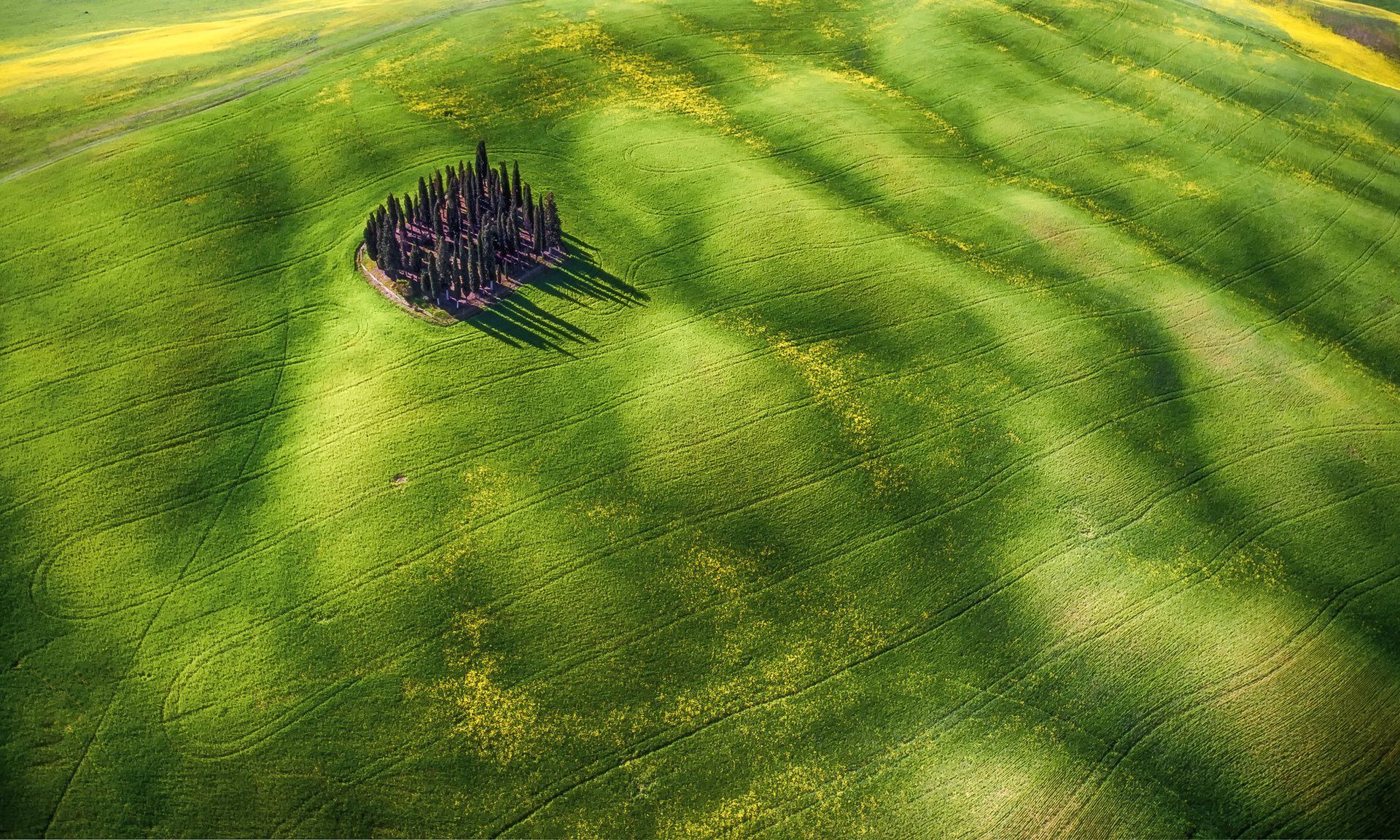 Najlepsze zdjęcia z dronów w konkursie SkyPixel Photo Contest 2016 8