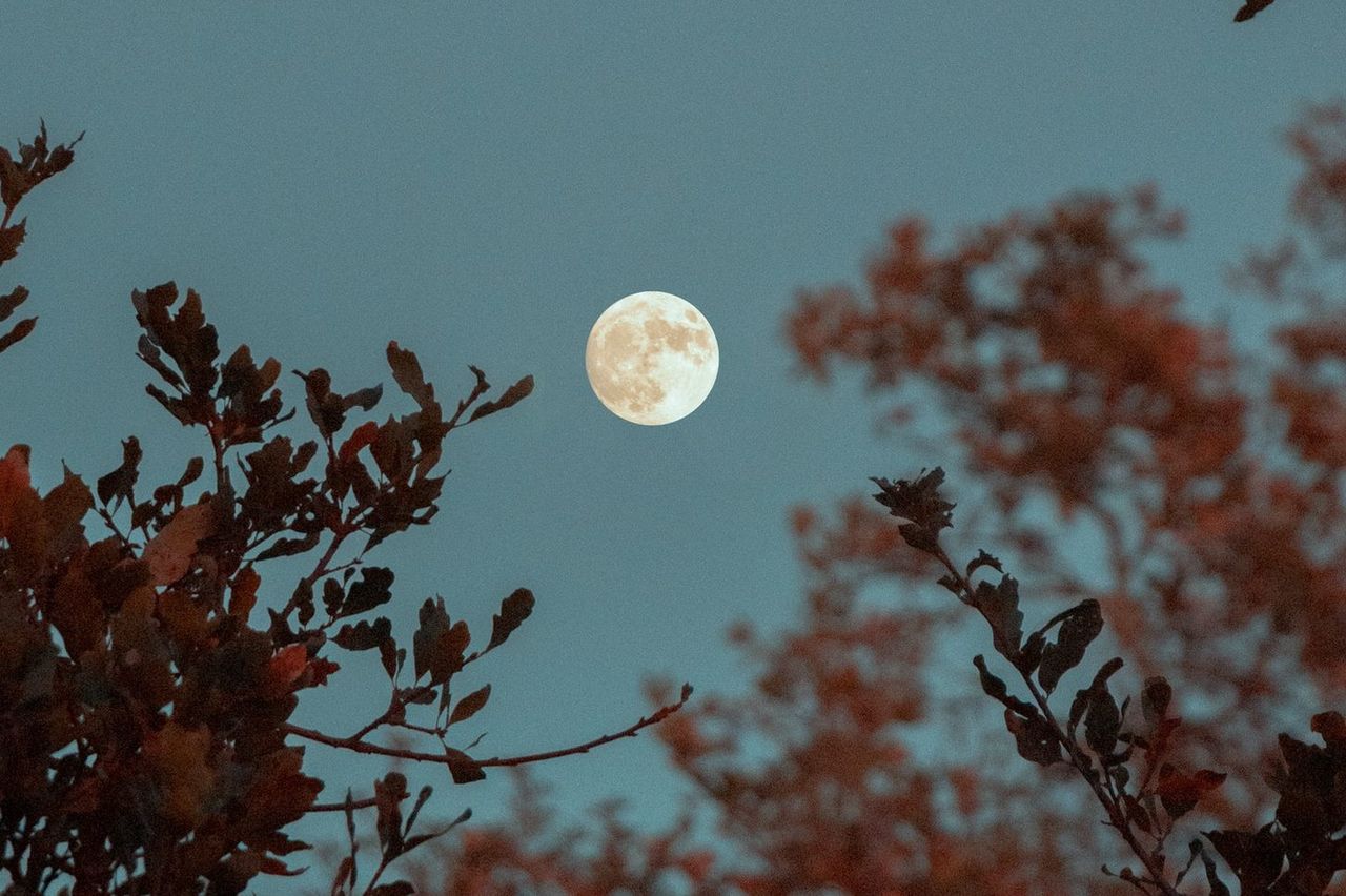 Niebieski Księżyc zaświeci na całym świece. Pierwsza taka pełnia od II wojny światowej