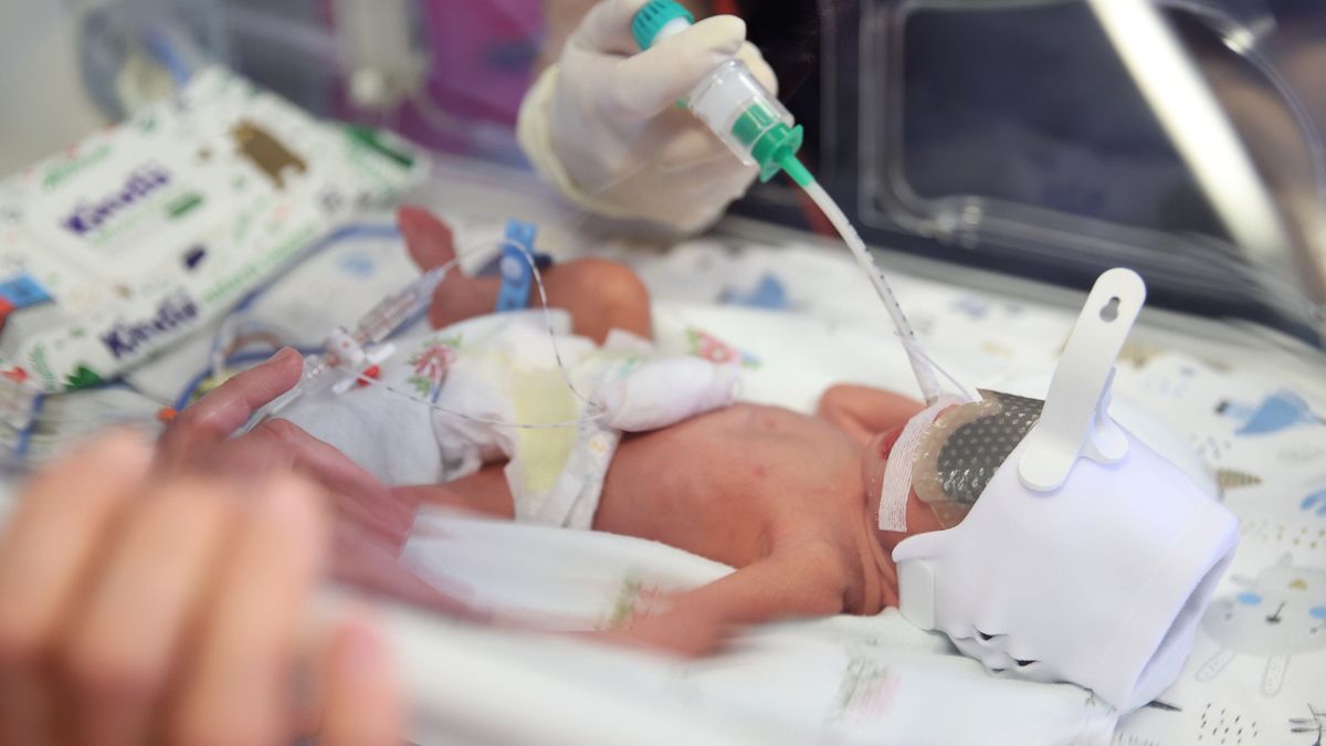 Jedno z pięcioraczków