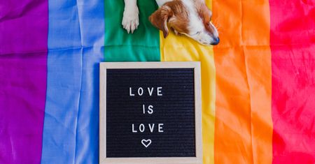 Nowy spot KPH. Mocna odpowiedź na słowa prezydenta Andrzeja Dudy o LGBT+
