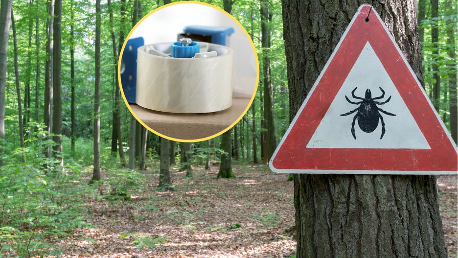 Jak uchronić się przed kleszczami? Istnieje prosty patent