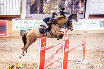 Konie, skoki przez przeszkody i zwiedzanie stada. Weekend pełen atrakcji w Łącku