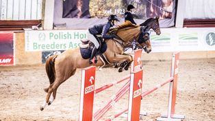 Konie, skoki przez przeszkody i zwiedzanie stada. Weekend pełen atrakcji w Łącku