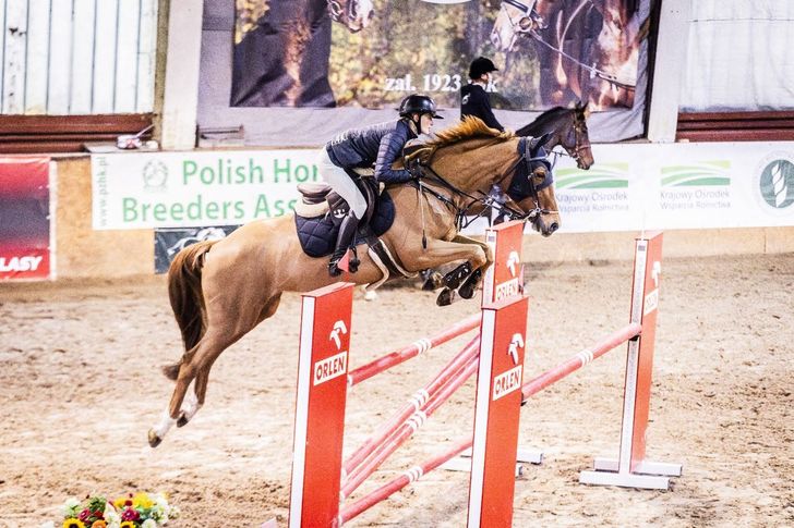 Konie, skoki przez przeszkody i zwiedzanie stada. Weekend pełen atrakcji w Łącku