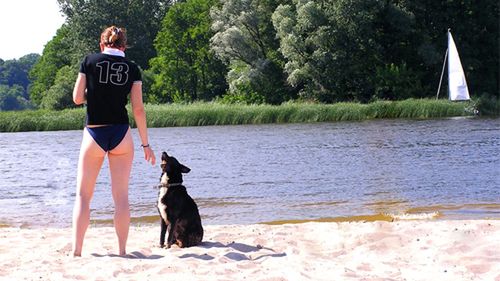 Wakacje z psem - podróż samochodem 1