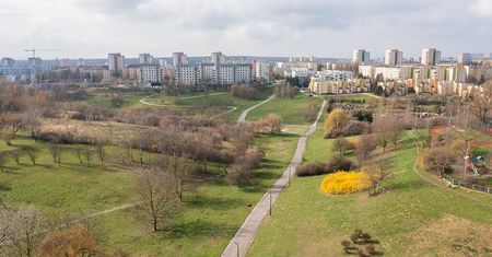 Przebudują Park „Rury” za kwotę 3 mln złotych. Przekształcą Aleje Miast Partnerskich na ciąg pieszo-rowerowy w parku