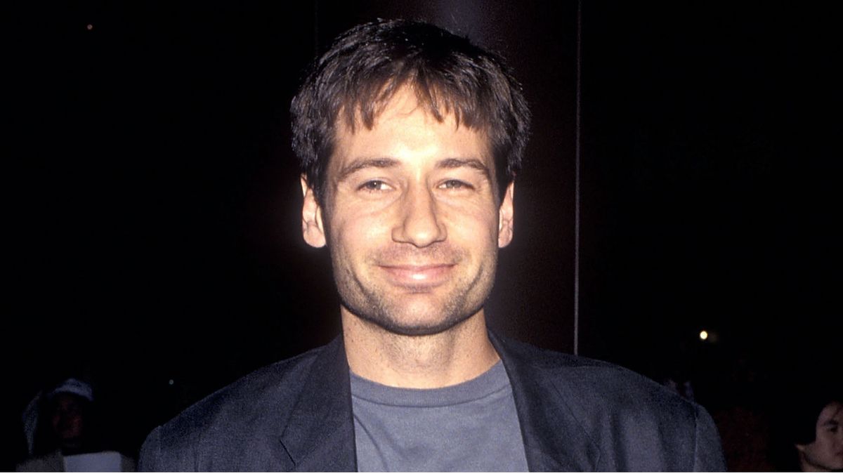 David Duchovny (1993)
