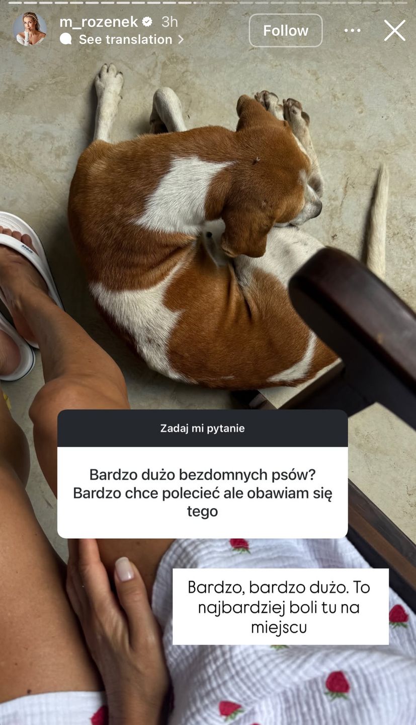 Małgorzata Rozenek-Majdan odpowiada na pytania