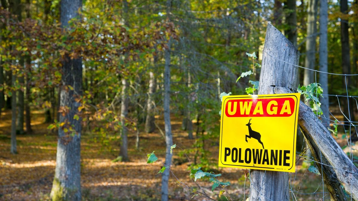 Tragiczny finał polowania