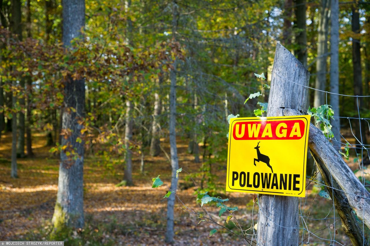 Tragiczny finał polowania. Kto oddał strzał do 60-latka?