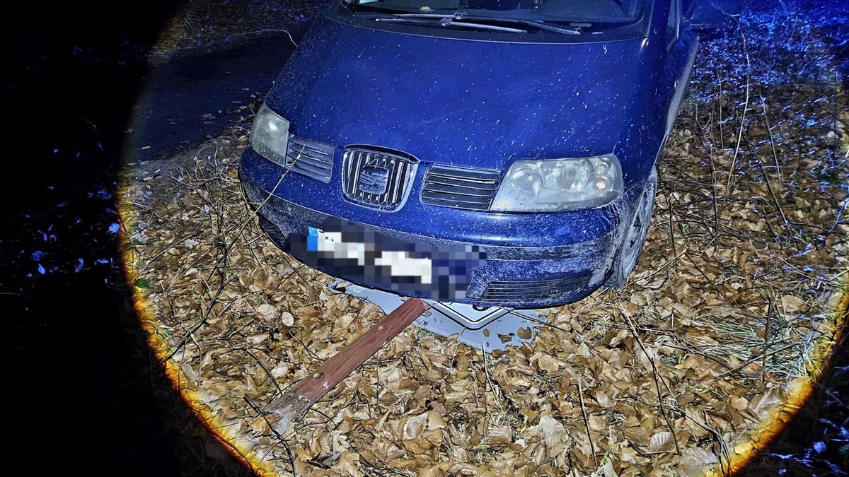 Zdjęcie ilustracyjne