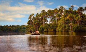 Jeziora w Amazonii gotują się w upale. To oznacza śmierć dla zwierząt